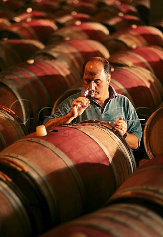 Winemaker Beyers Truter tasting wine from barrel   Stellenbosch South Africa