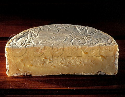 Camembert Cheese maturity series 2 of 3