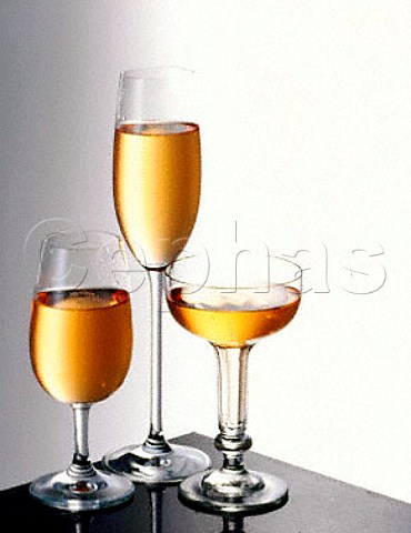 Sparkling wine in 3 different glasses  from the   left  ISO tasting glass flute coupe