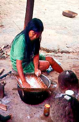 Grinding cassava to make flour  Amerindian woman Karsmata Village  Venezuela
