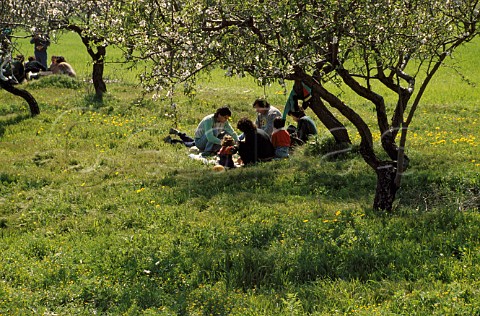 Family group picnicking in an orchard on   Green Monday the first day of Lent   Arsos Cyprus