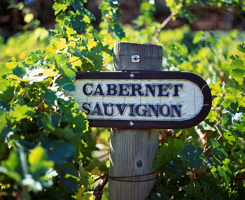 Sign in Cabernet Sauvignon vineyard of Beringer St Helena Napa Valley California USA