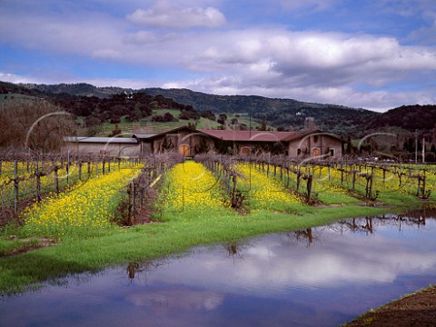 Heavy springtime rain causes flood in vineyard of  Clos du Val Napa California     Stags Leap AVA