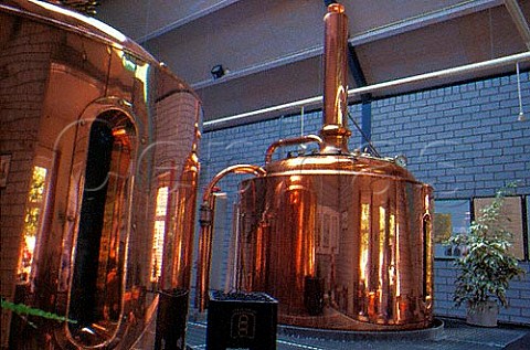 Brewing coppers of the De Drie Ringen   brewery and pub  Amersfoort Netherlands