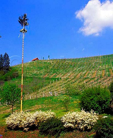 Maypole Wine School Silberberg Leibnitz Austria    Styria