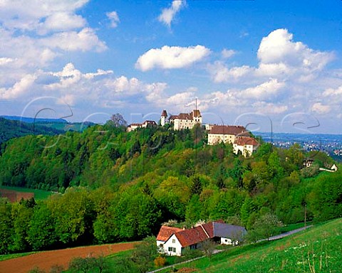 Schloss Seggau Sulmsee Leibnitz Austria Styria