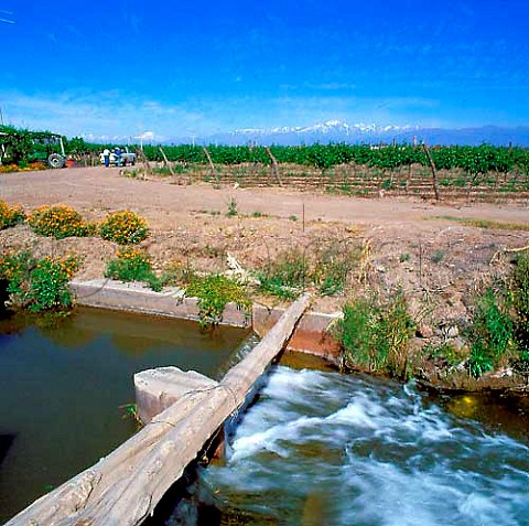 Irrigation canal for vineyards of Bodegas Trapiche  This is fed by melting snow from the Andes which can   be seen in the distance Mendoza Argentina