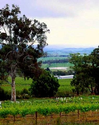 Yarra Yering vineyards Coldstream Victoria   Australia  Yarra Valley