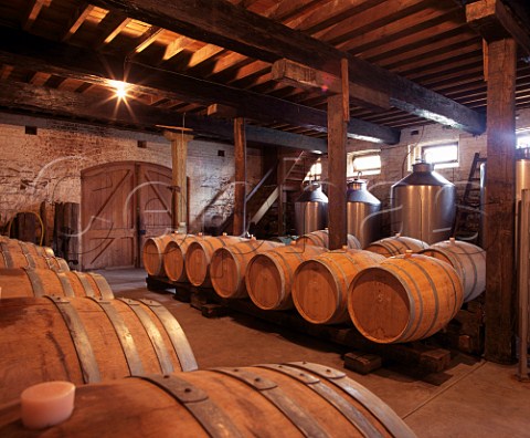 The historic barrel cellar of Yeringberg  Lilydale Victoria Australia  Yarra Valley