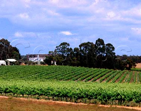 Goundrey Wines  winery over vineyard Mount Barker   Western Australia Lower Great Southern