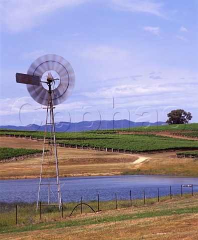 Water pump and dam amidst the vineyards of Montrose   Wines Mudgee New South Wales Australia  Mudgee