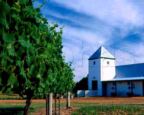 Hay Shed Hill winery and vineyard Wilyabrup   Western Australia Margaret River