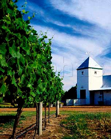 Hay Shed Hill winery and vineyard Wilyabrup   Western Australia    Margaret River