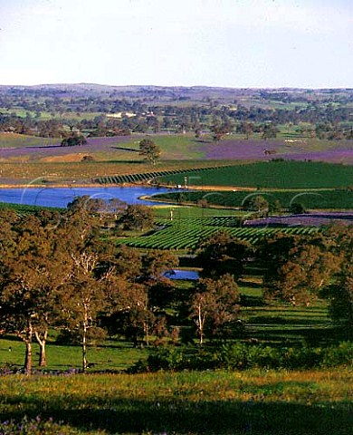 Vineyards around dam on the Mountadam Estate on the   High Eden Ridge east of the Barossa Valley South   Australia  Eden Valley