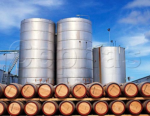 New oak barrels and stainless steel tanks of Wynns  winery Coonawarra South Australia