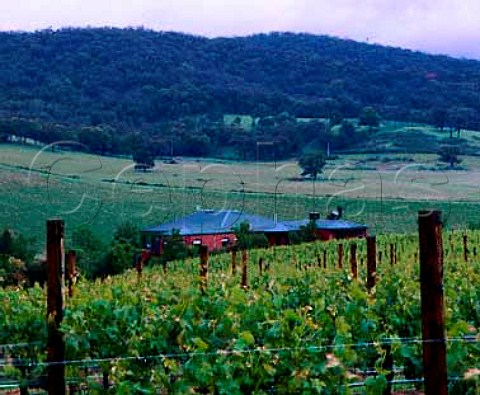 De Bortoli winery and vineyard Dixons Creek   Victoria Australia Yarra Valley