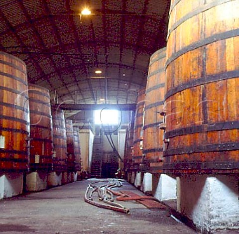 Old wine tanks made of Rauli wood Sagrada Familia Chile Maule