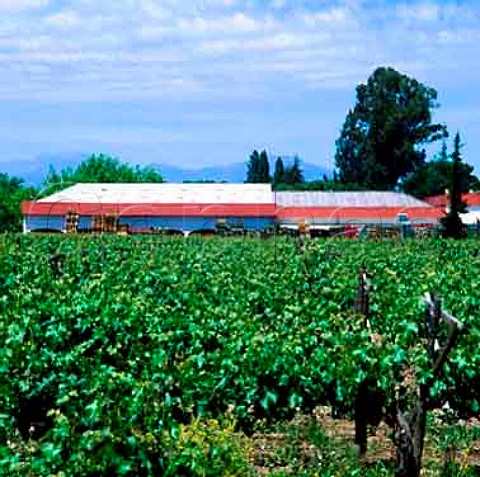 Bodega of Vina Undurraga over vineyard at Santa Ana   in the Maipo Valley near Santiago Chile