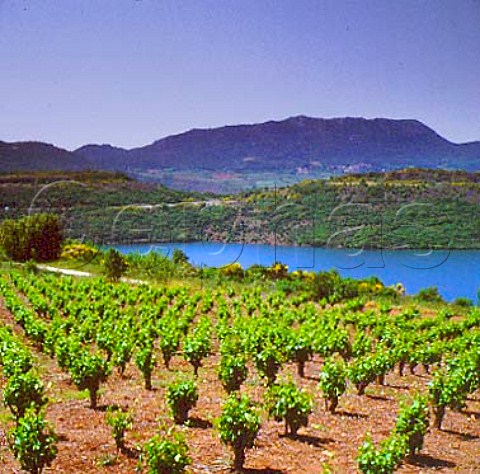 Vineyards around Lac de Salagou   Hrault France