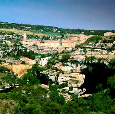 Minerve and vineyards in the Cesse Valley    Minervois