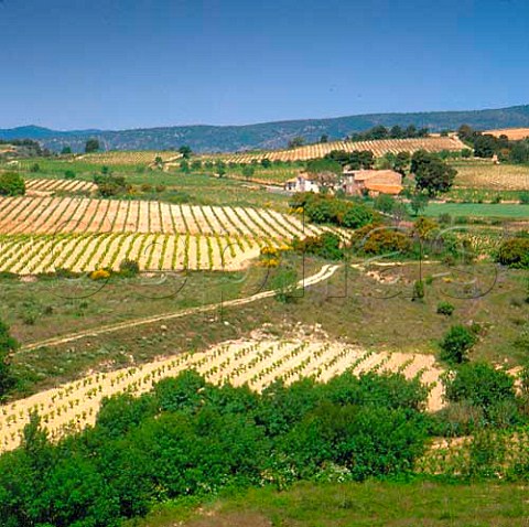 Domaine StEulalie surrounded by its vineyards  Aude France     Minervois