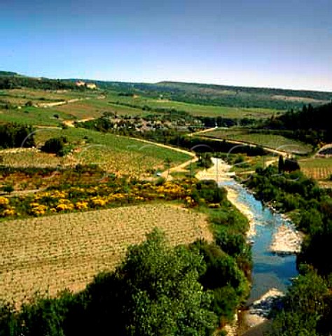 Vineyards in the Cesse Valley near Minerve Hrault   France  AC Minervois