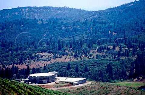Renaissance Winery and vineyards Yuba   Co California