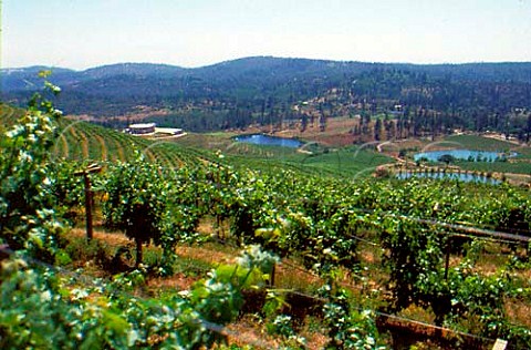 Renaissance Winery and vineyards Yuba   Co California