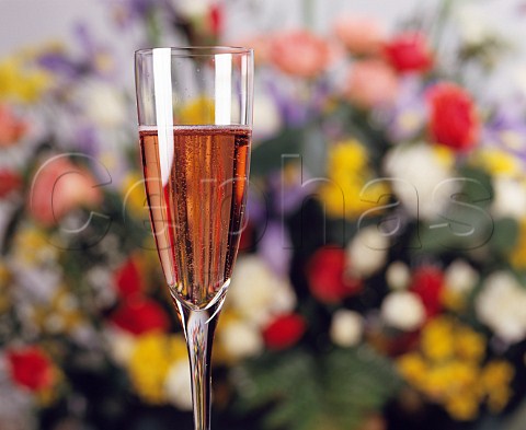Glass of rose Champagne with flower background