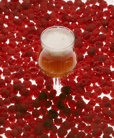 Raspberry fruit beer