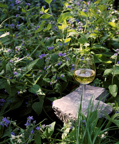 Glass of white wine in wild flowers