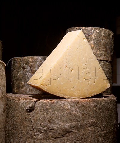 Traditional clothbound Cheddar Cheeses on sale at   Neals Yard Dairy London
