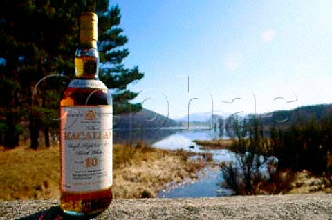 Bottle of Macallan Malt Whisky pictured   at Pityoulish