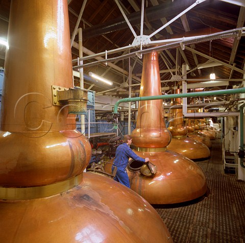 Copper pot stills in the stillhouse of Tomatin Whisky Distillery Tomatin Invernesshire Scotland