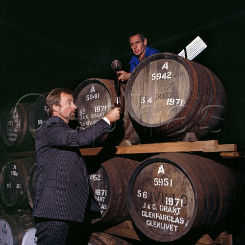 Tasting matured whisky from cask Glenfarclas Distillery Ballindalloch Banffshire Scotland