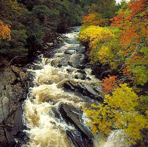 River Feshie in full flow in autumn Near Aviemore   Scotland