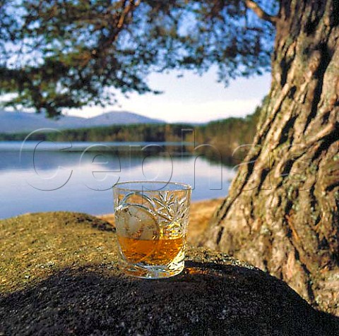 Tumbler of whisky with Loch Garten in background   Spey Valley Scotland