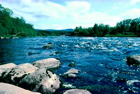 River Spey with old bridge in distance   GrantownonSpey Scotland