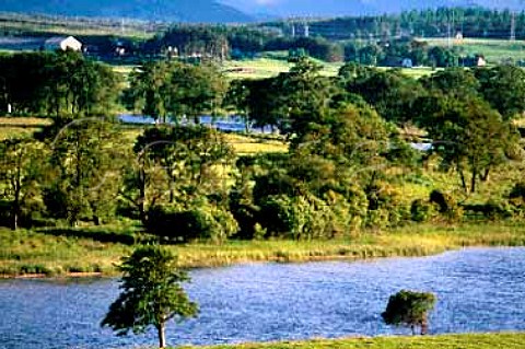 River Spey at Broomhill   near Nethy Bridge Scotland