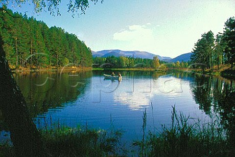 Trout fishing on loch with Cairngorm   Mountains beyond Rothiemurcus Estate   near Aviemore Scotland