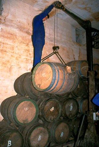 Stacking barrels at Bodegas Riojanas   Cenicero La Rioja Spain   Rioja