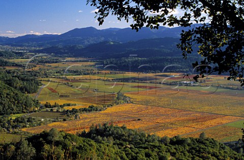 View over the Napa Valley in autumn between St Helena and Calistoga Groth Sterling and Duckhorn own vineyards here   California