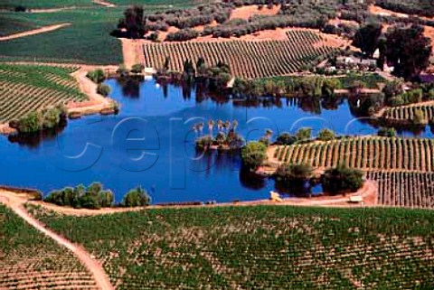 Winery Lake vineyard owned by Sterling   Vineyards Carneros Napa Co California
