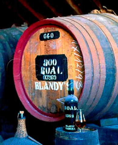 Bottle of Bual 1863 in the ageing room of Adegas de   Sao Francisco owned by the Madeira Wine Company  Madeira