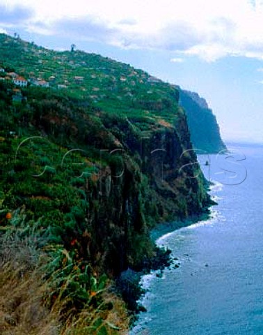 View along the south coast near Ribeira Brava   Madeira
