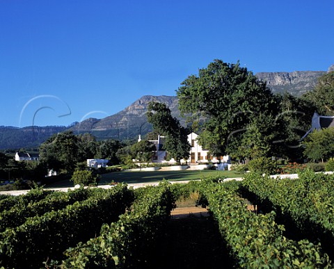 Klein Constantia Manor House and vineyard  Constantia Cape Province South Africa   Constantia WO