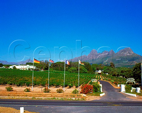 Avontuur Estate on the west slopes of the Helderberg   Mountain Cape Province South Africa Stellenbosch   WO
