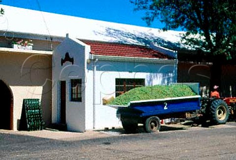 Grapes arriving at Villiera winery   Paarl Cape Province South Africa