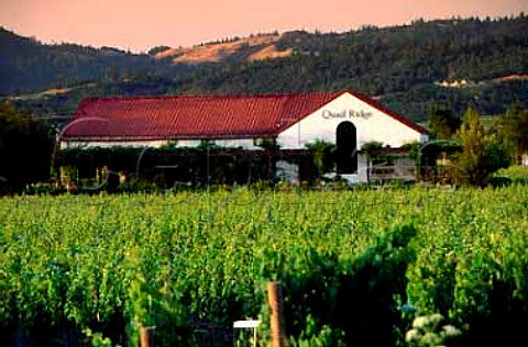 Quail Ridge Winery Rutherford Napa   Co California