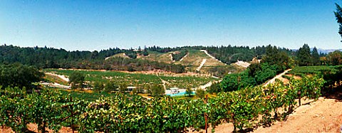 Diamond Creek vineyards Calistoga Napa Co   California  Napa Valley